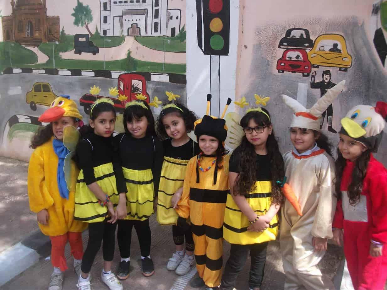 مدرسة المنيل القومية - 2