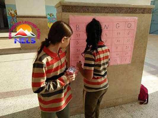 المدرسة المصرية الجديدة للغات - 10