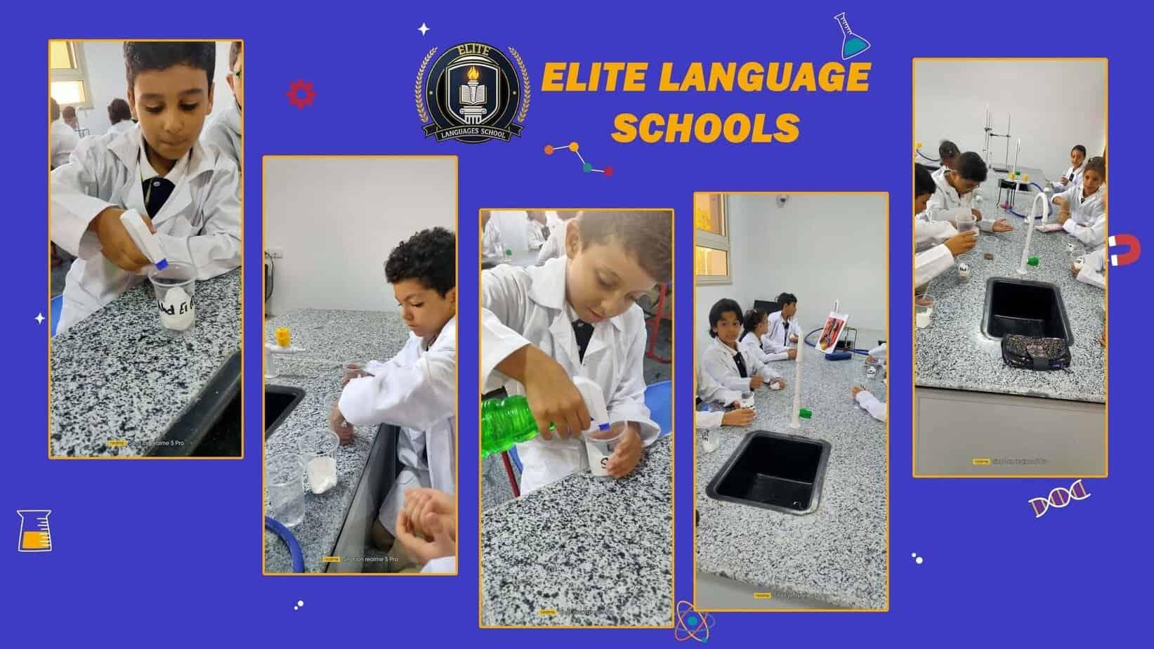 Elite language school - 6
