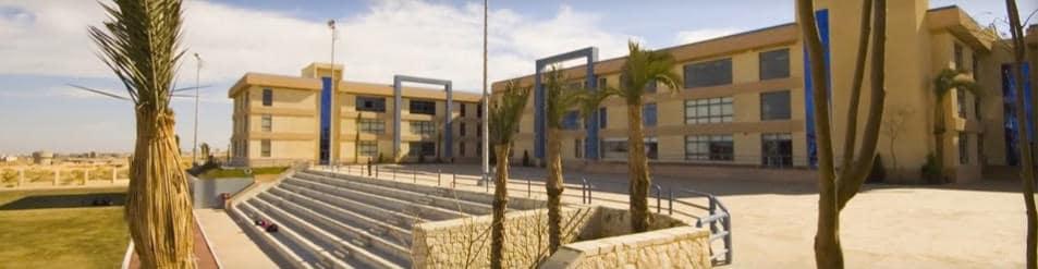 كلية نارمر الامريكية - 2