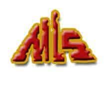 مدرسة المقطم الدولية لغات logo