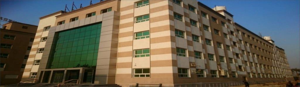 مدرسة نيو ديسكفري الدولية